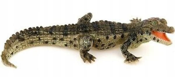 YOUNG CROCODILE [FIGURINE]
