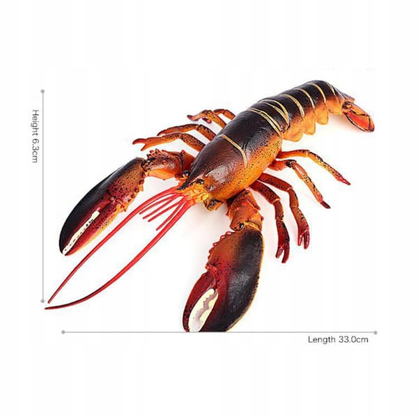 Lifelike Marine Animals: Lobster Model – Education