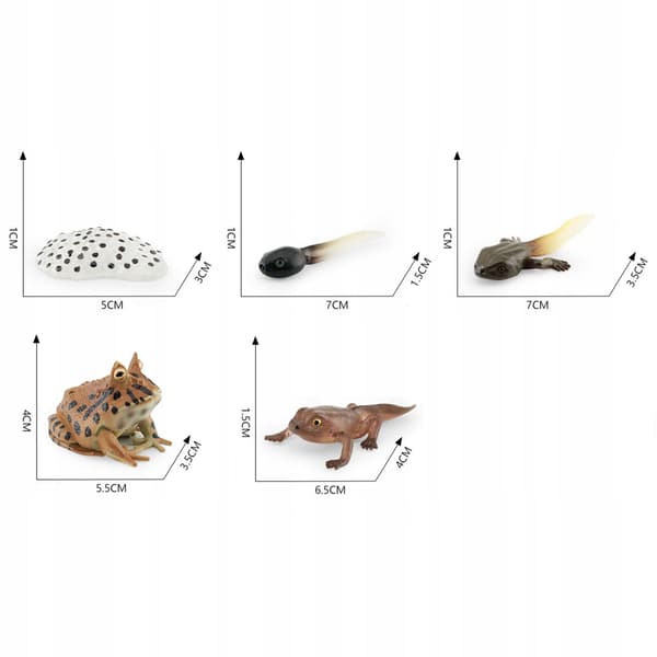 Life cycle figurines – Realistic animal style C