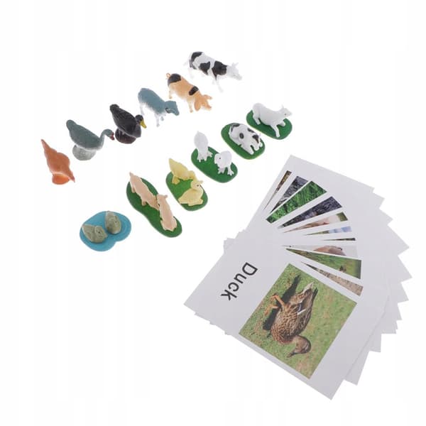 12 Sets: Education, Animals, Farm Animals Toys Group