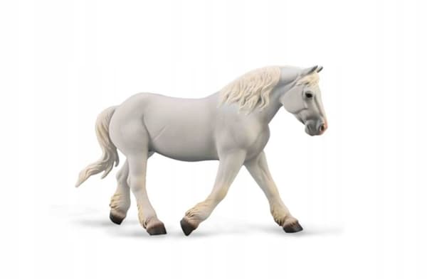 A GREY BOULONNAIS MARE