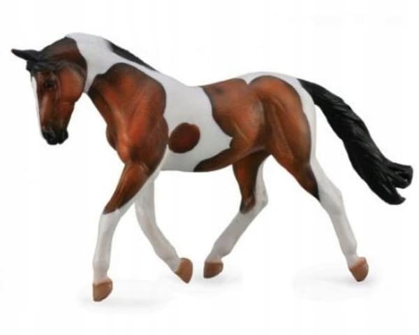 A BAY PINTO MARE, COLLECTA