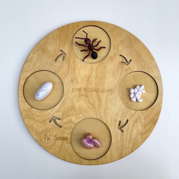 INSECT LORE educational ant life cycle figurine set for children aged 4+