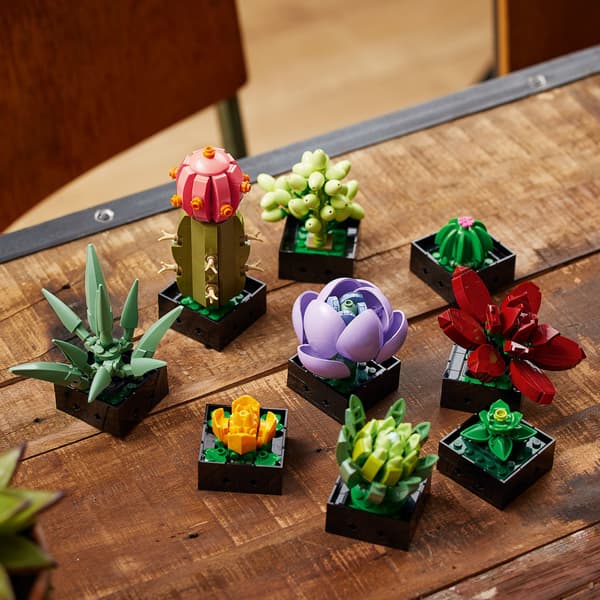 LEGO Botanicals 10309 Succulents