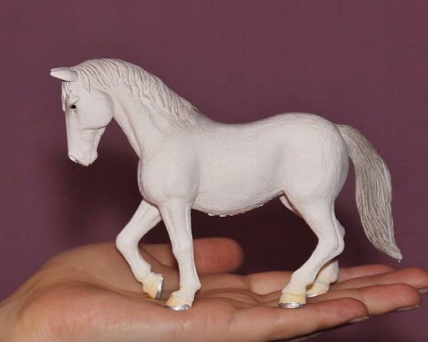 Mojo, a Lipizzaner mare