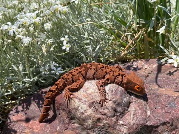3D Crocodile Skink – lizard, segmented figurine, terrarium decoration