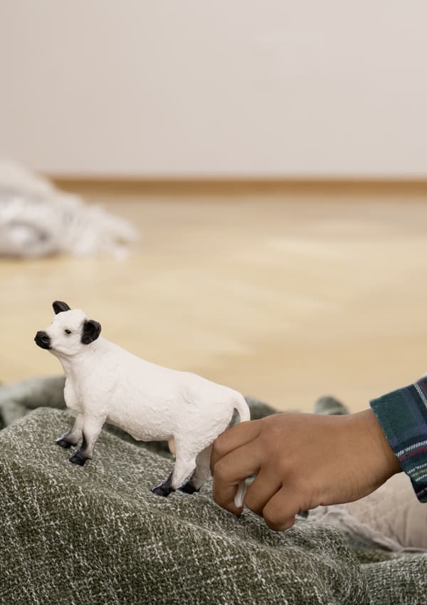 GALLOWAY COW (FIGURINE)