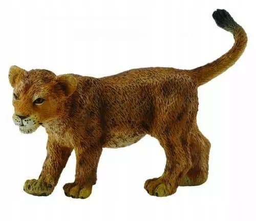 A lion cub walking S.
