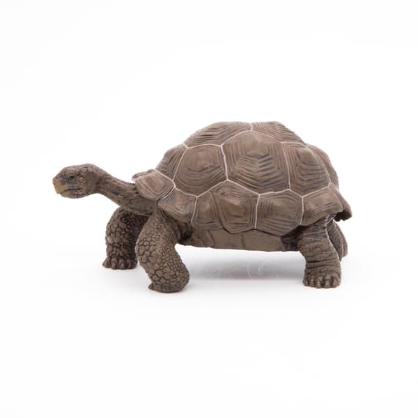 GALAPAGOS TURTLE [FIGURINE]