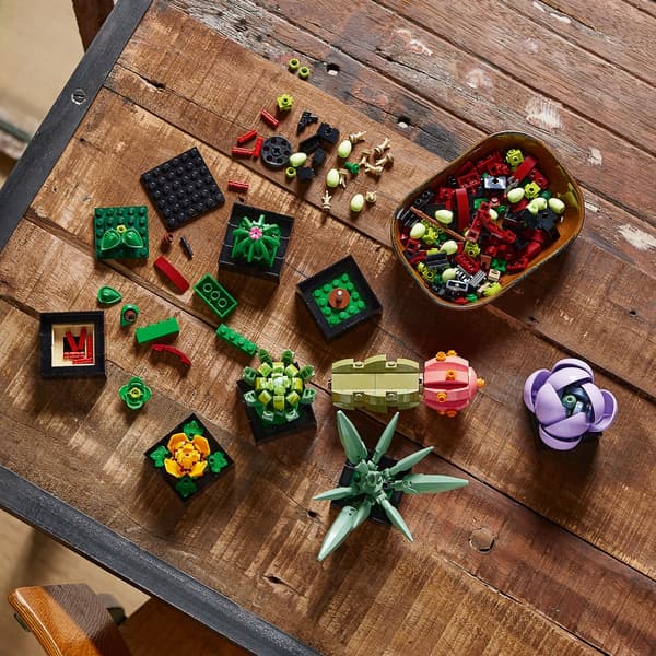 LEGO Botanicals 10309 Succulents