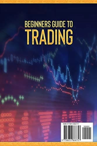 A BEGINNERS’ GUIDE TO TRADING: This book covers: day trading, forex, options and S