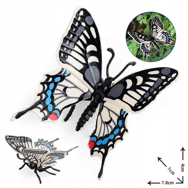 Educational resources for learning about animal models: Swallowtail Butterfly Favours