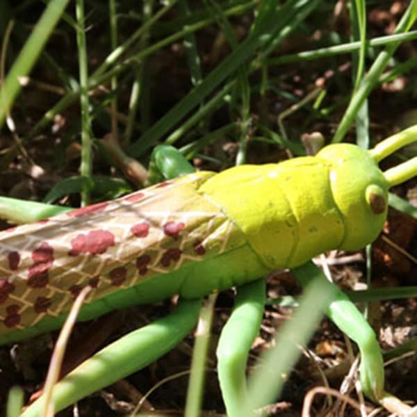 Baosity Plastic Simulation: Nature in Grasshopper