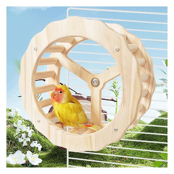 Interactive bird toy – with a perch and a wheel – designed to stimulate development