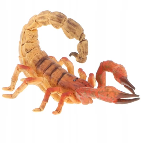 Simulation: Children’s Halloween Toy Gift Party Model