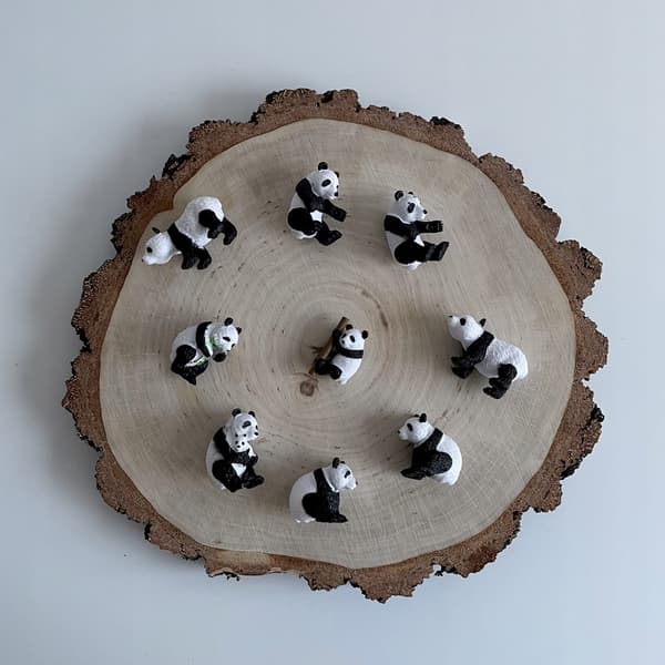 Safari Ltd. TOOB Figure Set – Pandas