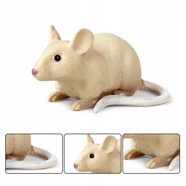 Realistic mouse model Sculptures Collectables Educational mice A-style toy