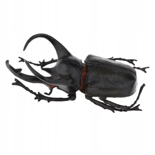 3x Lifelike Beetle Figures – Insects