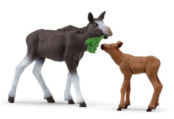 Moose with a calf 42603