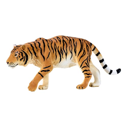 Mojo the Tiger on the hunt