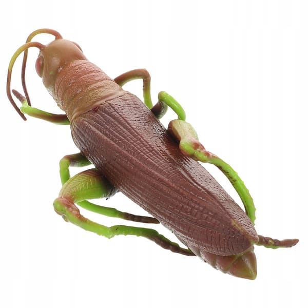 SOFT GRASSHOPPER – EDUCATIONAL TOY AND ROOM DECORATION
