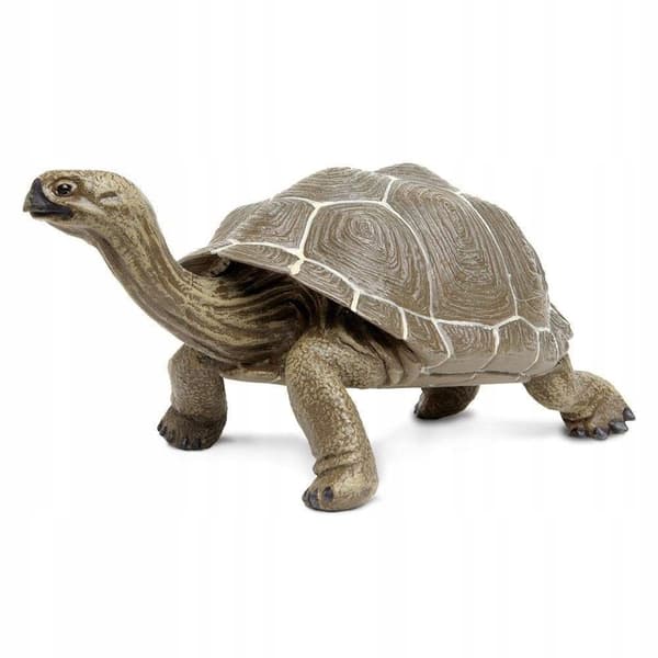 TURTLE - Tortoise - Safari Ltd. - 260729