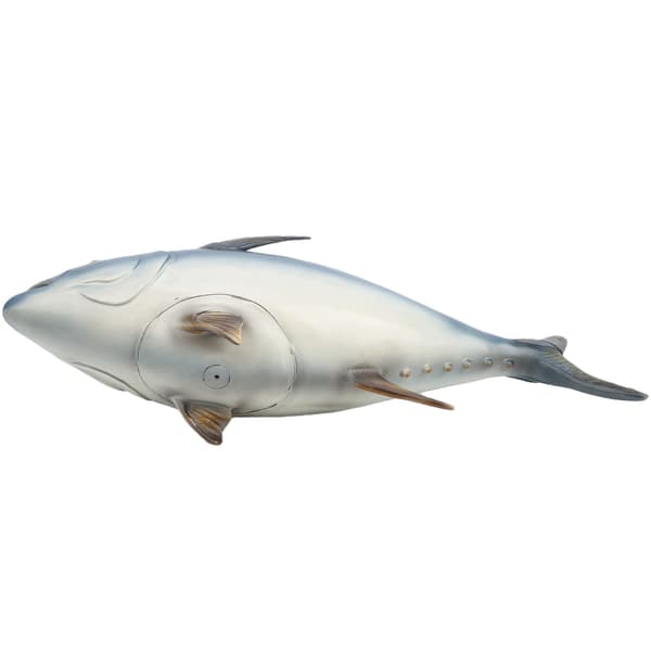 MARINE LIFE: ANIMAL FISH MODELS FOR CHILDREN