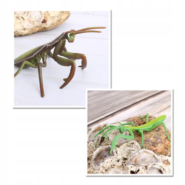 Animals Simulation Life cycle Life Action figures Figure