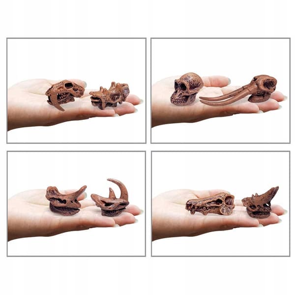 Simulation: Mammals, Children, Learning, Figurines A