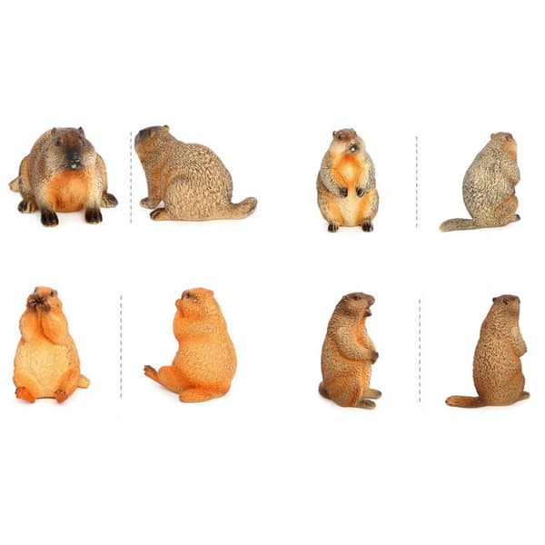4x Marmots – Model Figures, Decorative Marmots, Desk Decorations