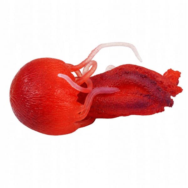 STRETCHY RUBBER FIGURINE – SEA CREATURE