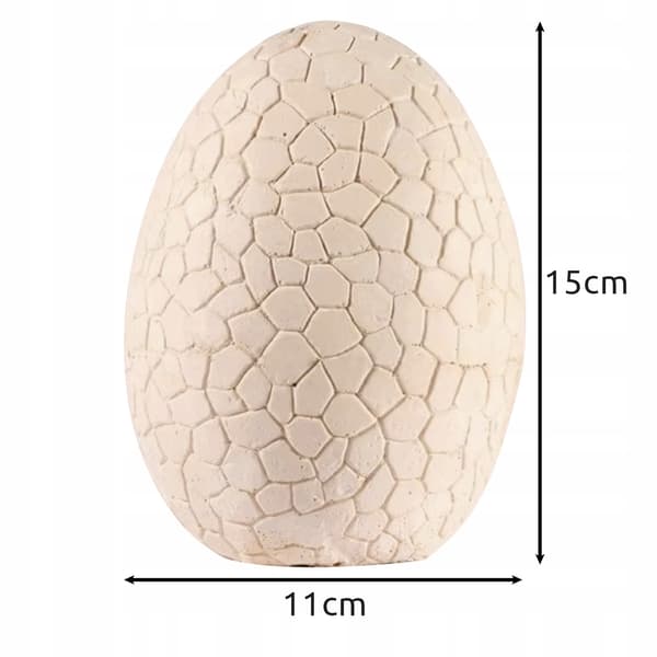 Dinosaur Egg – Excavation 24981