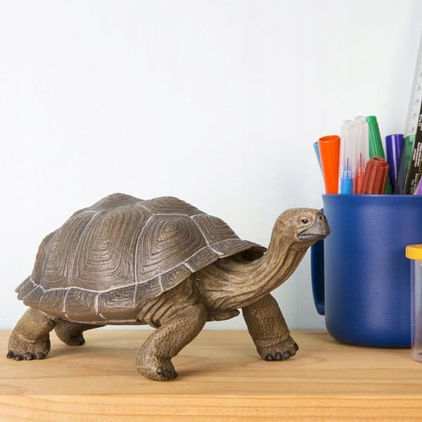 TURTLE - Tortoise - Safari Ltd. - 260729