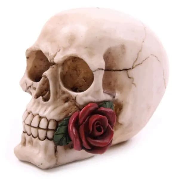 Puckator Skull with Roses Figurine