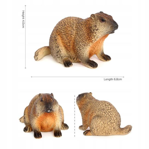 Animal model simulation: A realistic marmot toy for studying landscape style D