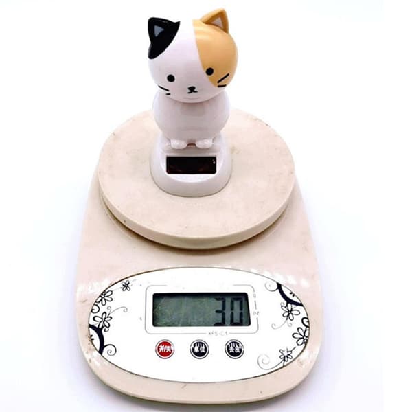 Bobblehead Toy Material: Plastic Accessories, Automatic, White, Black, Pointear