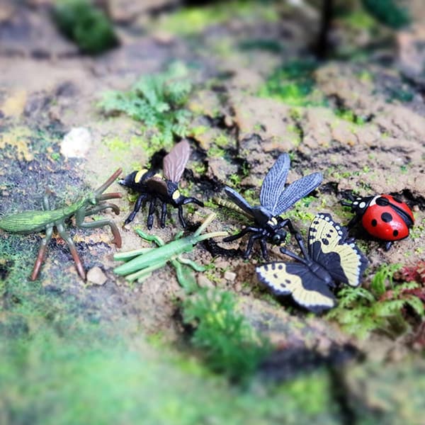 Insect Model Figurines – 12 PIECES – Mini PVC Insect Simulation Models – Toy Animals