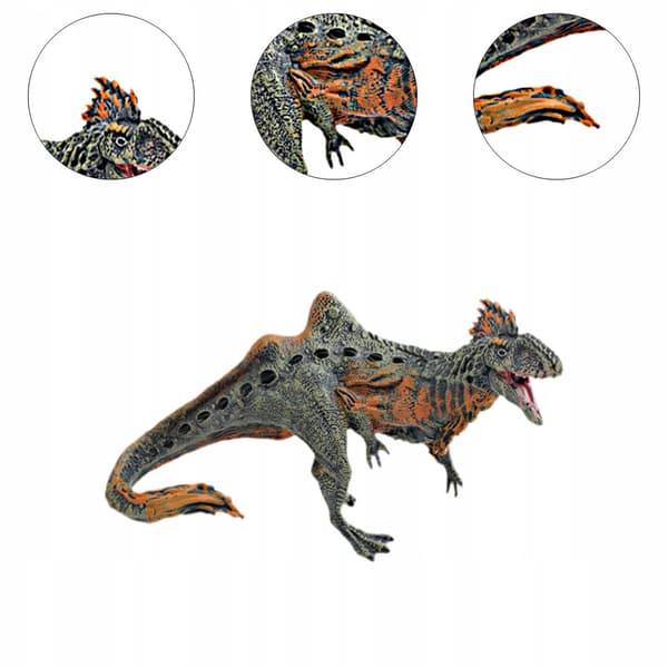 Concavenator Figure Toy accessories Interactive educational animal model