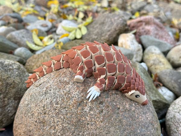 3D Pangolin – A Modular Figurine in a New, Multicoloured Design, toy