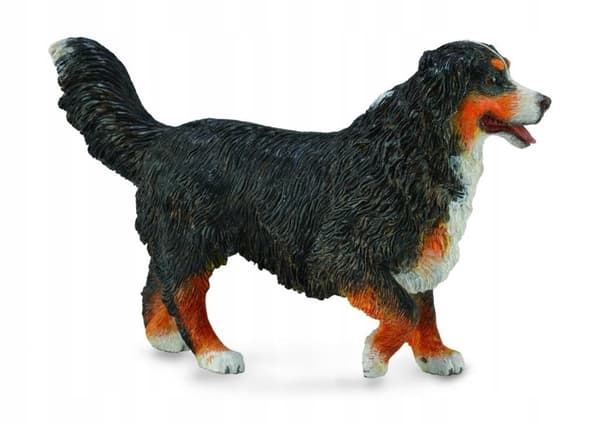 Bernese Mountain Dog L.