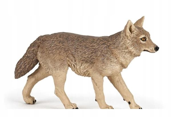 SZAKAL – JACKAL – PAPO – 50259