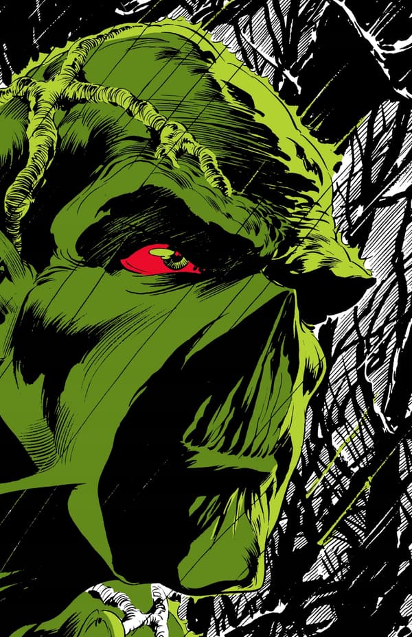 Absolute Swamp Thing by Len Wein and Bernie Wrightson