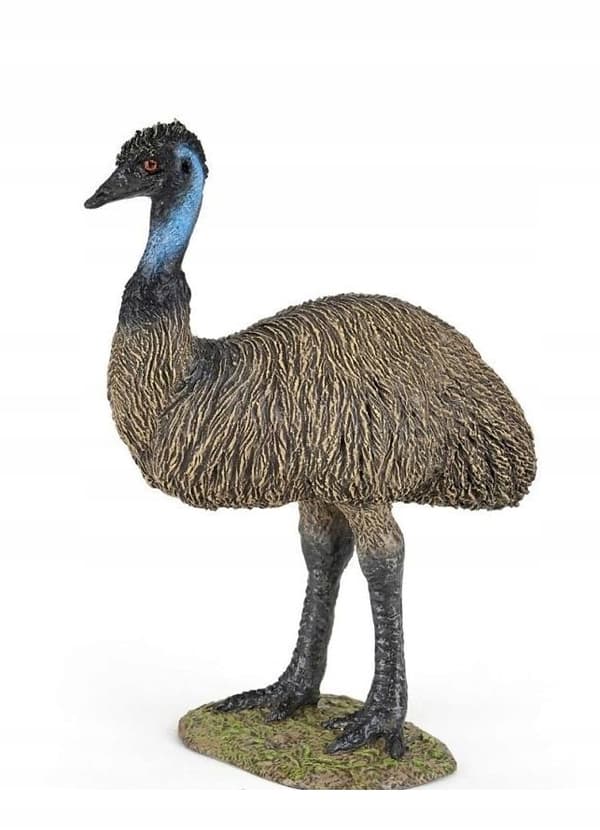 EMU – PAPO – 50272