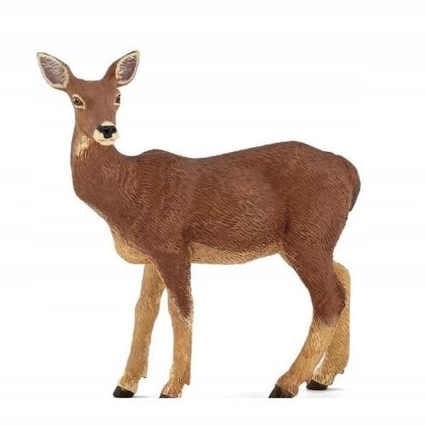 ŁANIA – DOE – PAPO – 53014