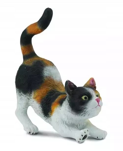 A three-coloured domestic cat stretching, size S.