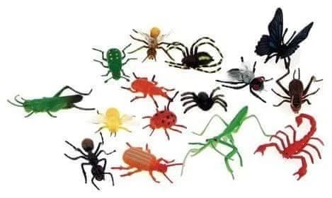 A large collection of insects