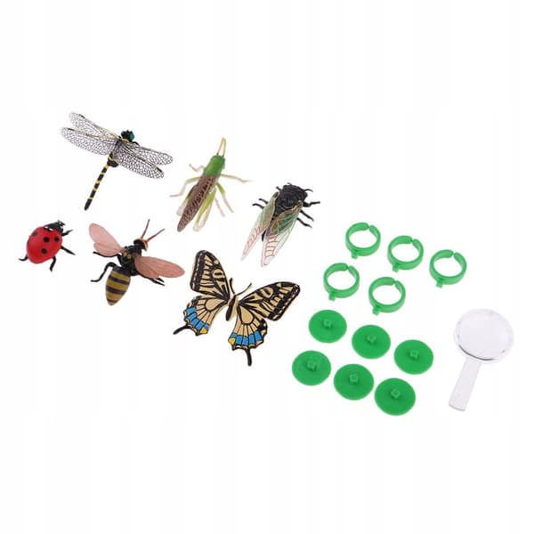 Pack of 6: Animal Model Figurine + Glass + Base + Ring