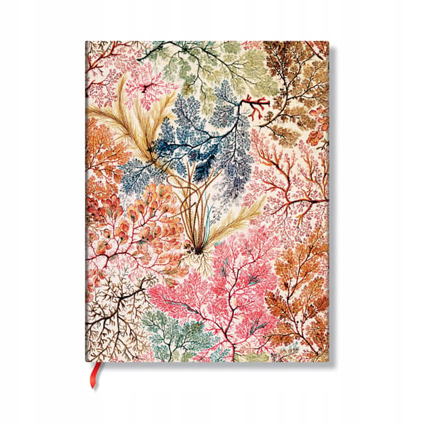 Paperblanks Anemone Midi Lined Notebook
