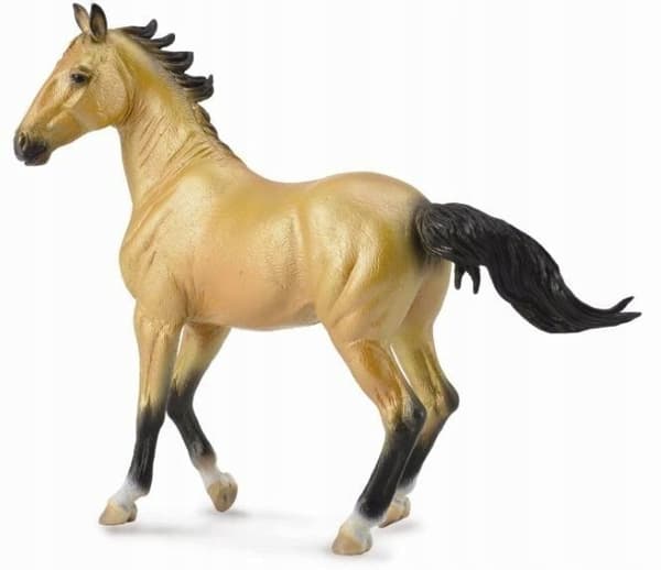BUCKSKIN AKHAL-TEKE MARE, COLLECTA