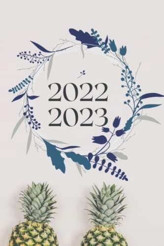 Office Planner Jan 2022–Dec 2023: 2020–2023 Year Planner: Monthly Logbook